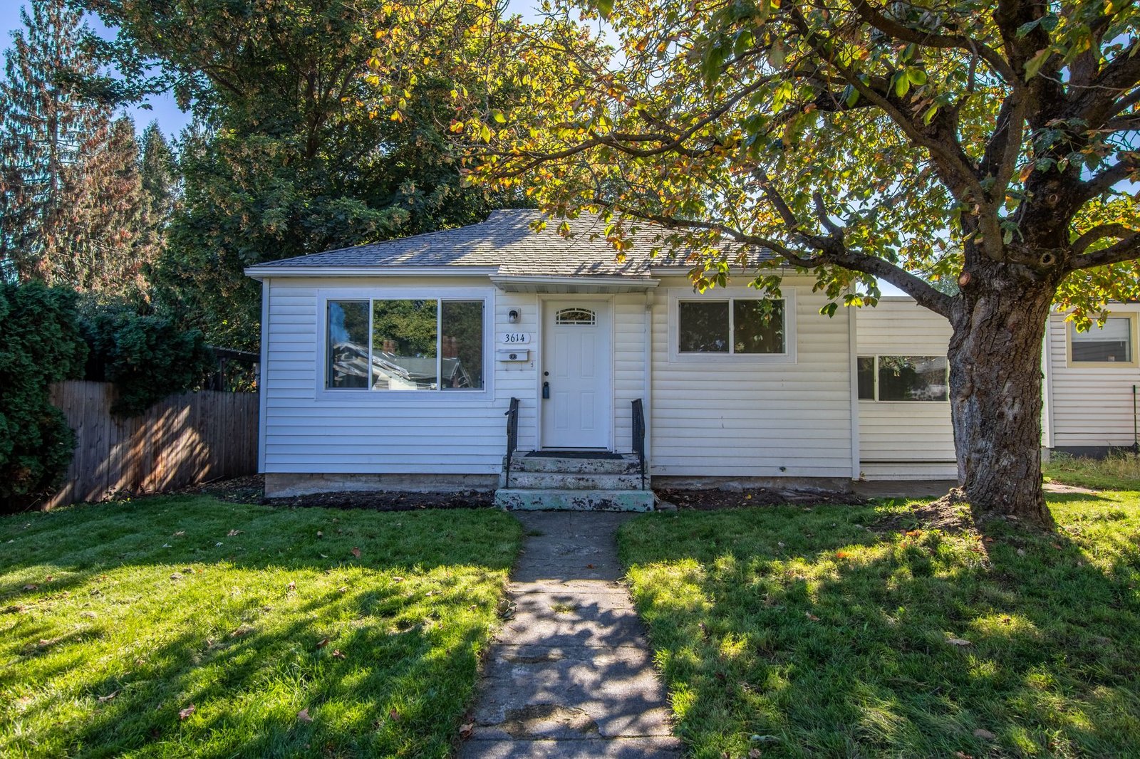 Small, cozy home with a lawn and mature tree